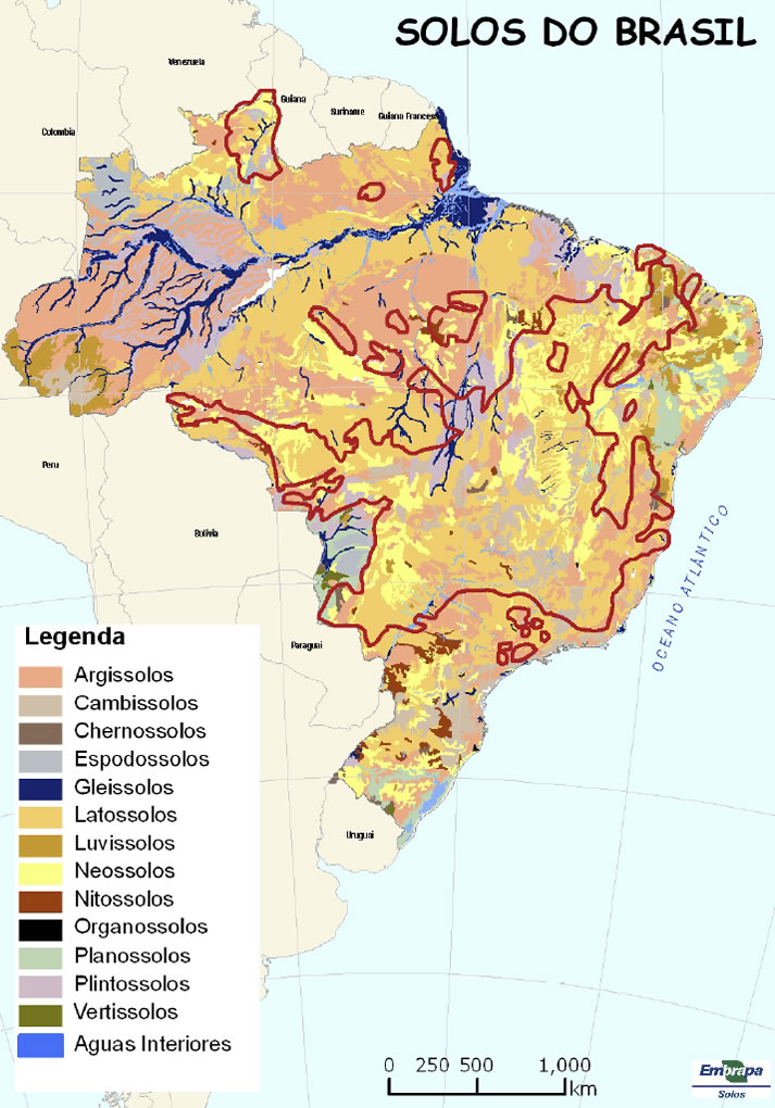 The Saga of the Agricultural Development of the Brazilian 